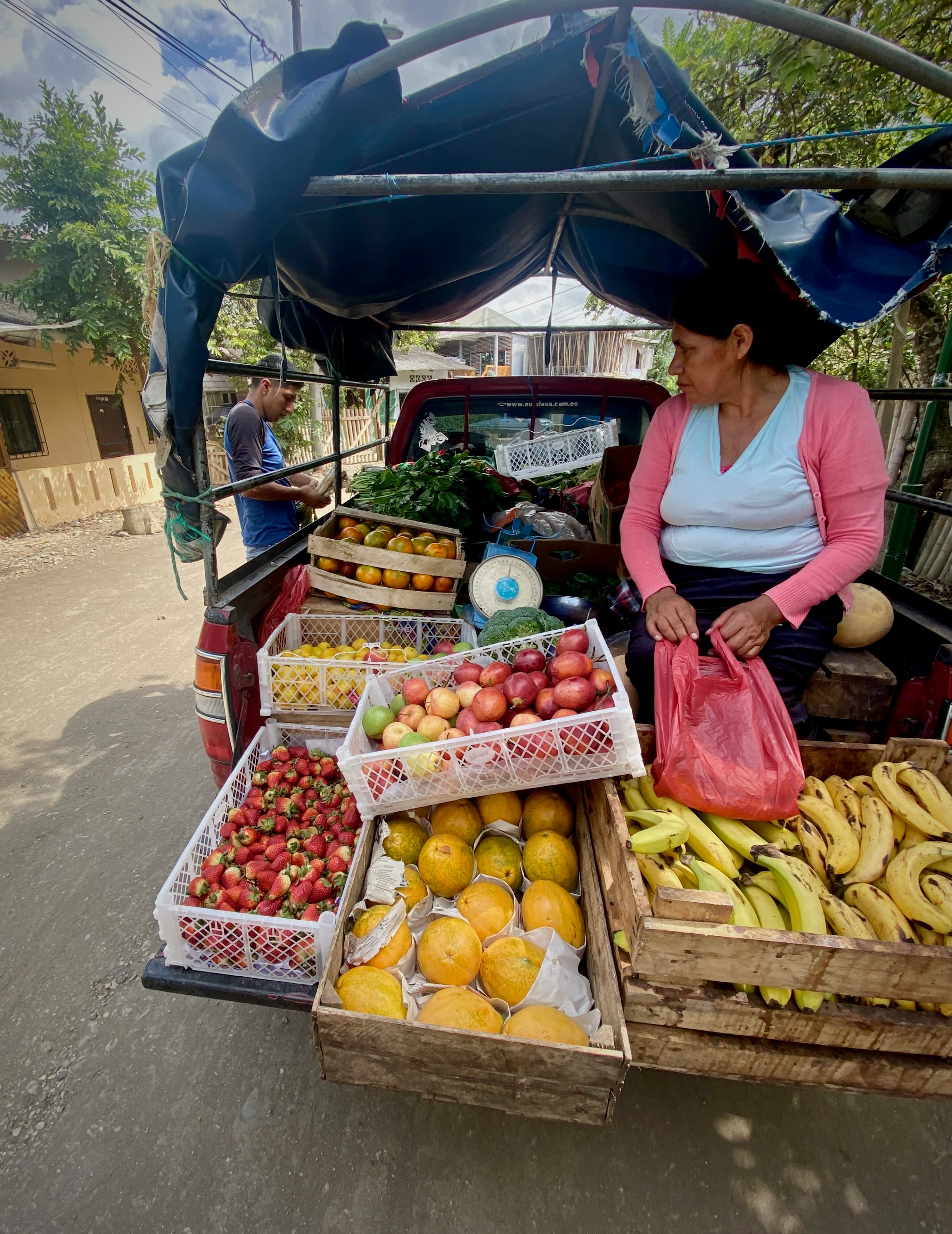 grocery truck